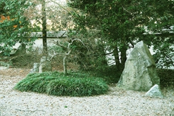 The island in the Japanese Garden.