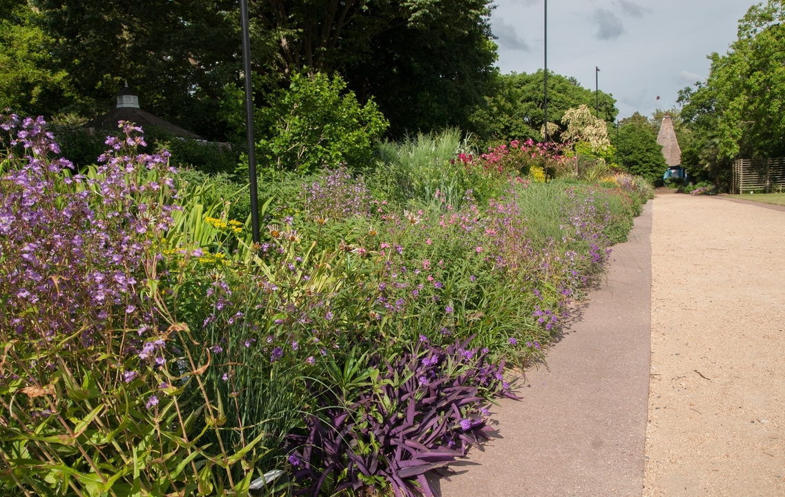 Border in sun flanking a gravel path. Many colors & textures.