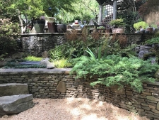 A shaded patio garden incorporating stone walls and rocks.