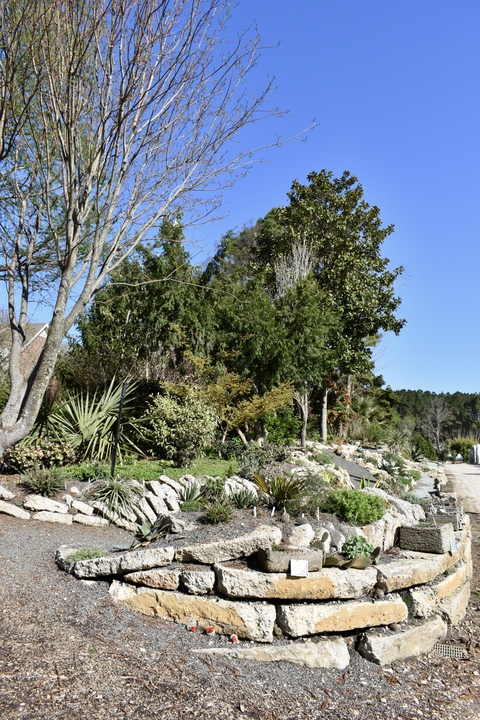 Crevice Garden in late March