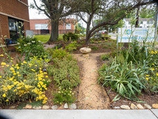 Center Garden with path & birdbath