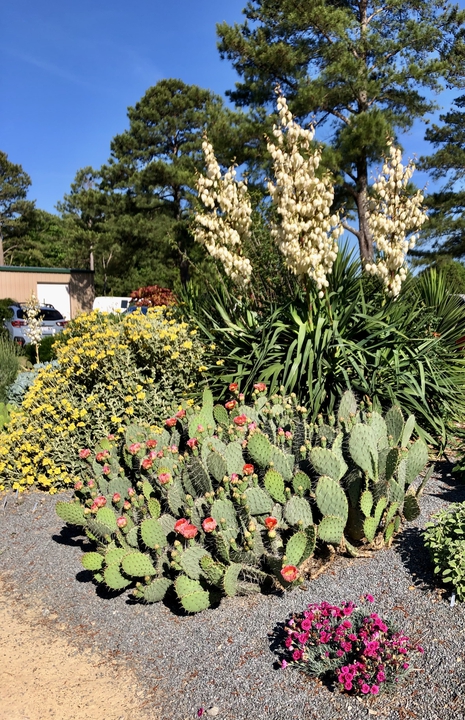Parking Lot Berms in Spring