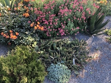 Parking Lot Berms in Spring