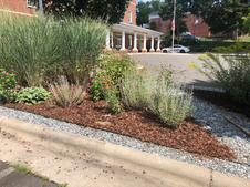 Garden at 14 months (July/2020)