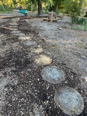 Pine slices installed and mulched Oct 2021