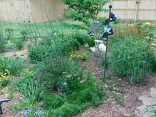 Early May Garden