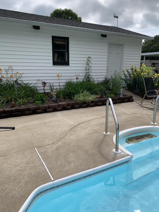Poolside garden