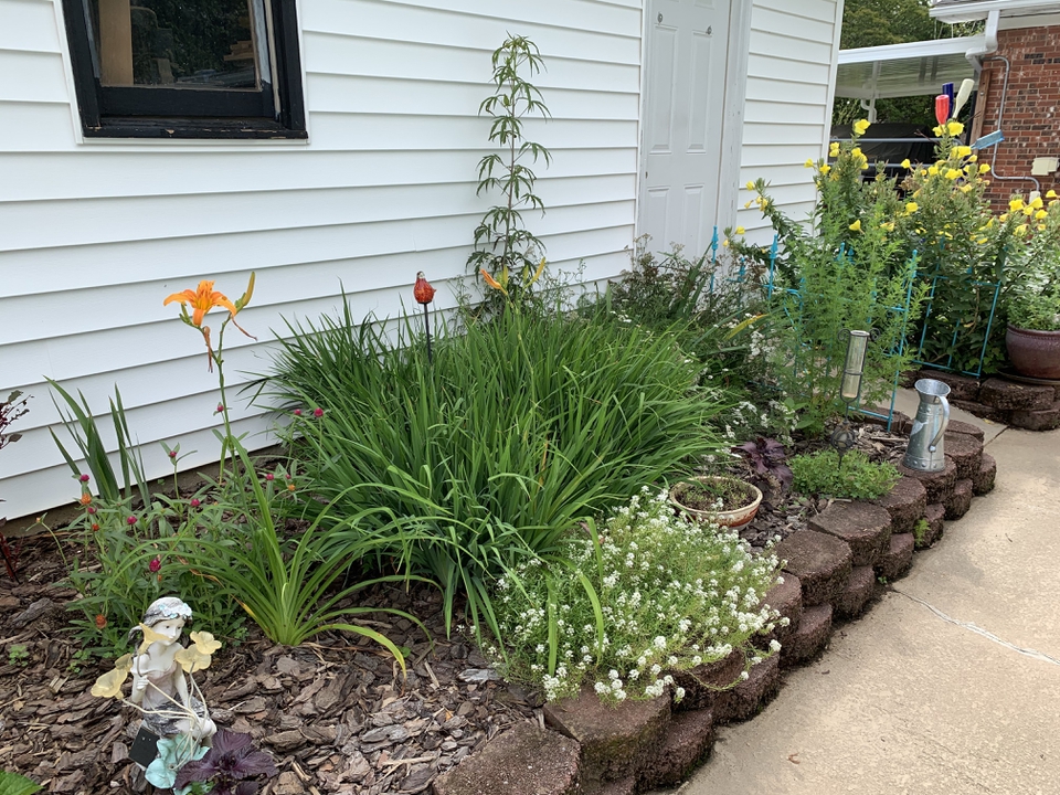Hardscape Planting
