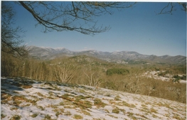 view NE across homesite prior to home construction