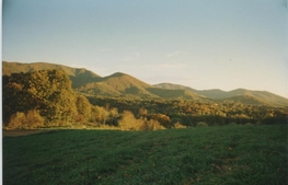 Ridge top pasture land with a view to the Swannanoa Mountains.