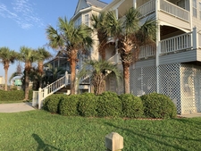 Simple foundation planting