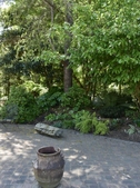Southwest Patio on April 22