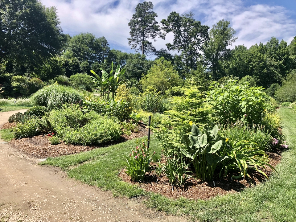 Souto Sun Garden in Summer