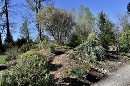 Souto Sun Garden in Spring