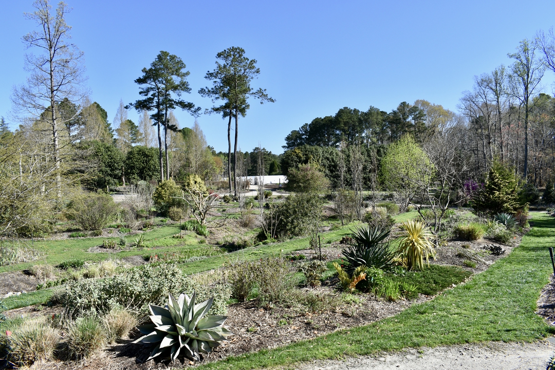 Souto Sun Garden in Spring