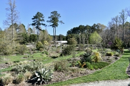 Souto Sun Garden in Spring