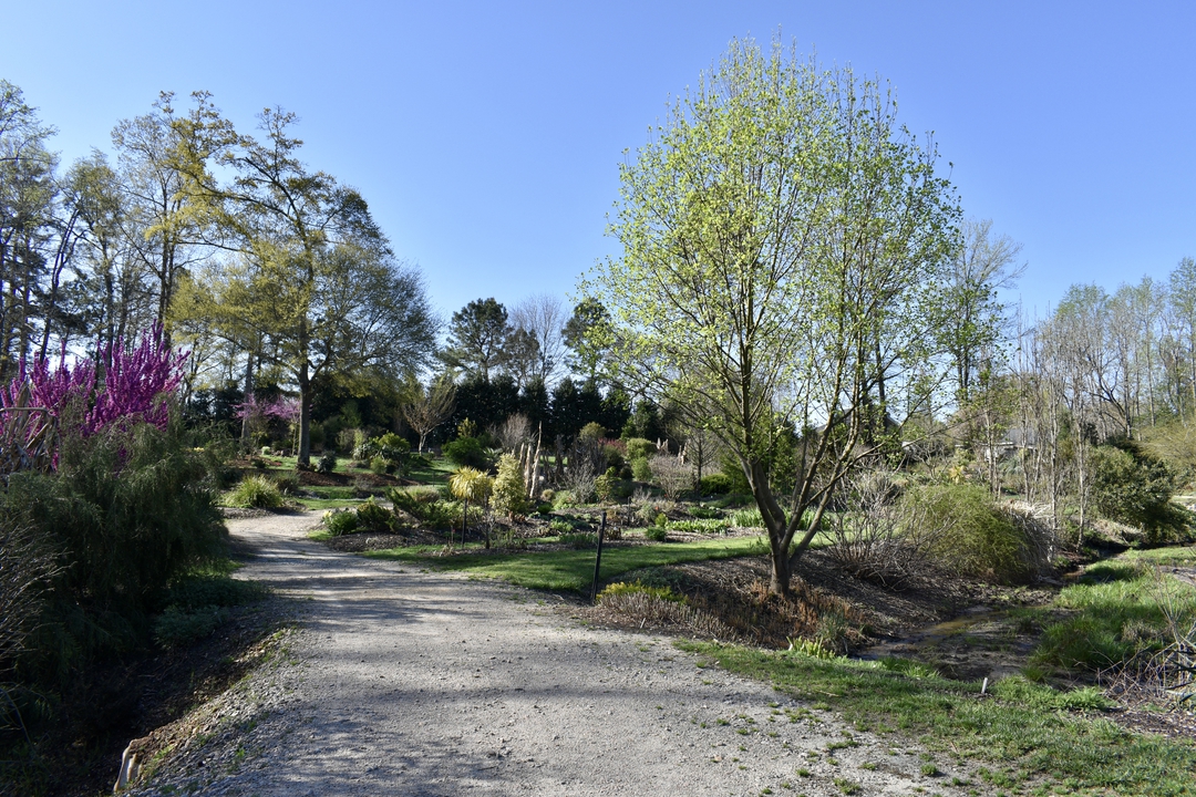 Souto Sun Garden in Spring
