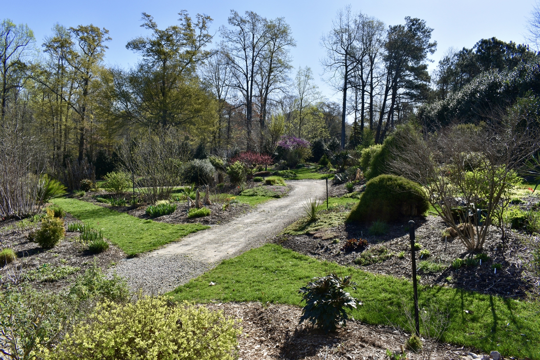 Souto Sun Garden in Spring