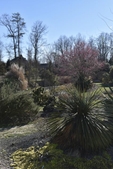 Souto Sun Garden in March