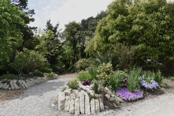 Beds bordered by "urbanite" (recycled concrete)
