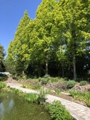 Sunken Pond on April 21, 2021