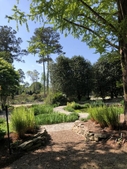 Sunken Gardenin mid-April