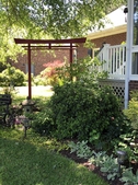 Zen garden torii