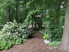 Wild Side Garden entrance