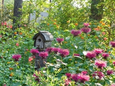 A birdhouse on a post, surrounded by orange and magenta flowers.