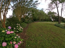 Border Garden