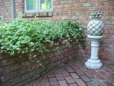 Courtyard Entrance Garden in Moore County in summer (planters)