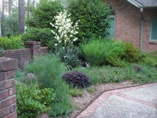 Courtyard Entrance Garden in Moore County in early summer