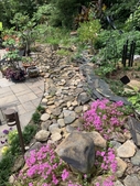 Dry, rock-lined stream bed surrounded by colorful plants.