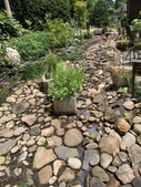 Dry stream bed with a container of sedum.