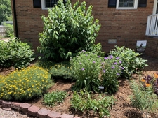 Left of stairs year 3