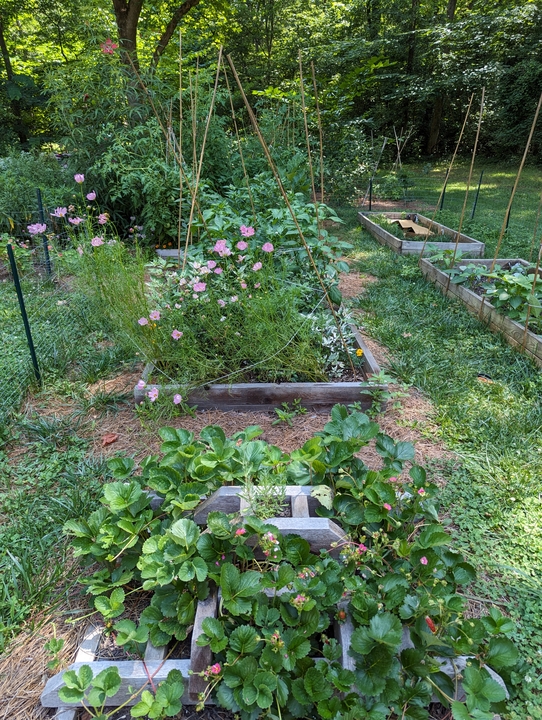 Gardens in early summer 2023