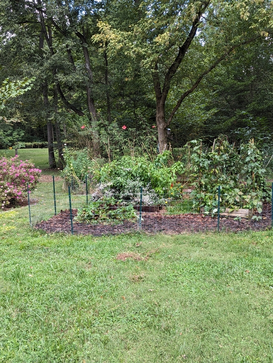 Garden in September 2023