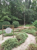 Junipers outlining spiral path leading to a gong in the center.