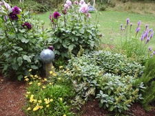 A small bed of assorted perennials at lawn edge