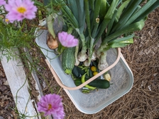 Some produce from summer 2024