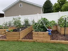 Container vegetable garden