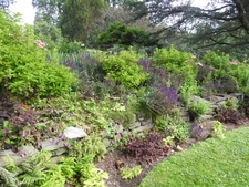 A large evergreen tree provides some afternoon shade.