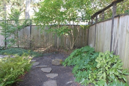 shade garden in Wilmington, NC