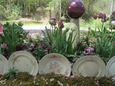 Tulips mirror the color of gazing ball while upcycled china plat