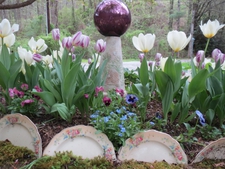 Border Garden, Upcycled in the Spring