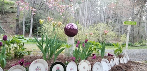 Border Garden, Upcycled in the Spring