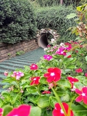 A children's tunnel surrounded by colorful, dense vegetation.