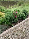 Mid-spring blooms