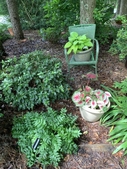 Wild Side Garden
