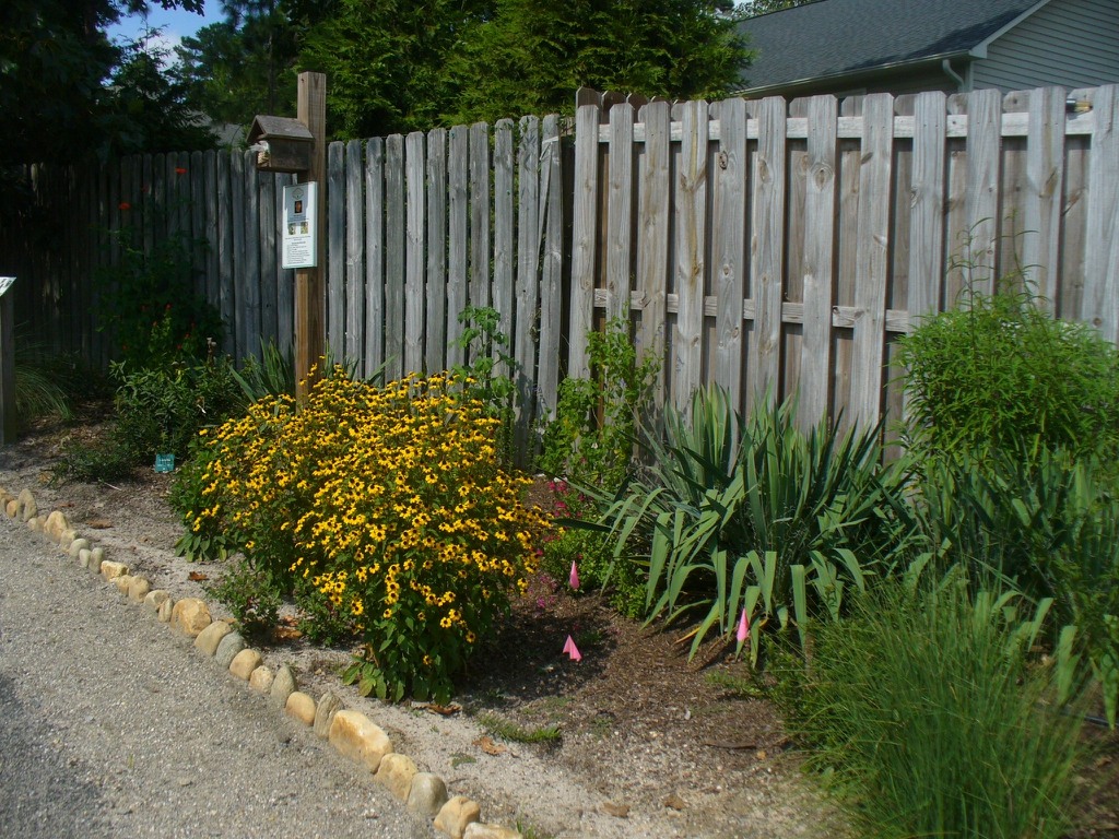 Garden view of flowering perennials & yucca against wood fence.